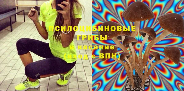 дживик Аркадак